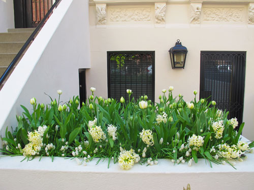 Front Yard Planter Early Spring Display